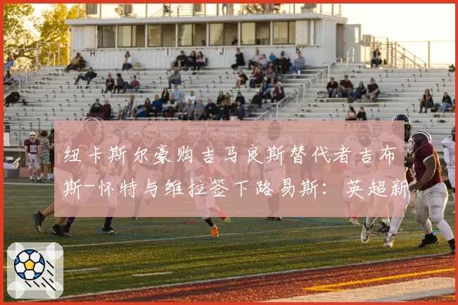 纽卡斯尔豪购吉马良斯替代者吉布斯-怀特与维拉签下路易斯：英超新贵中场引擎数据对比
